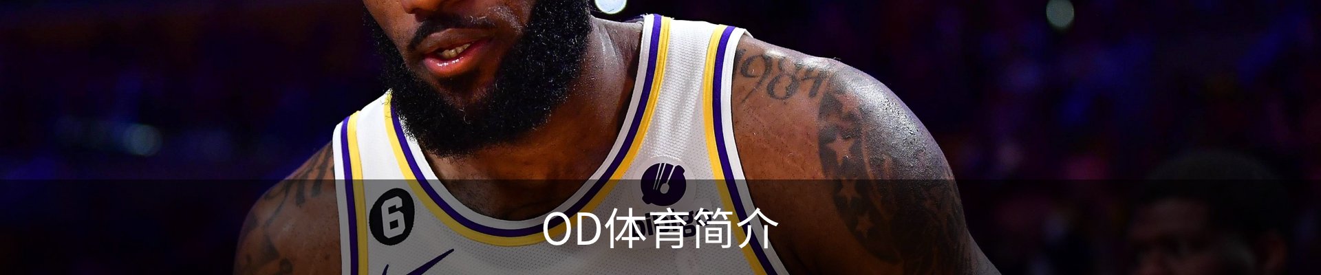 内页banner